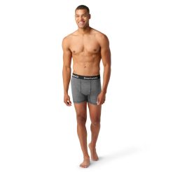 Smartwool Merino Socks Men's Active Boxer Brief