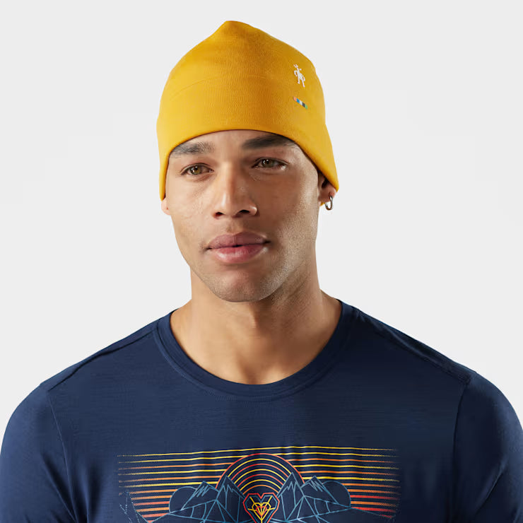 Smartwool Merino Socks Thermal Merino Reversible Cuffed Beanie