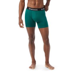 Smartwool Merino Socks Men's Everyday Merino Boxer Brief