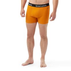 Smartwool Merino Socks Men's Active Boxer Brief