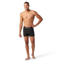 Smartwool Merino Socks Men's Active Boxer Brief
